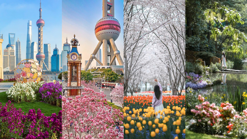 Thời tiết mùa xuân Thượng Hải Thời tiết mùa xuân Thượng Hải