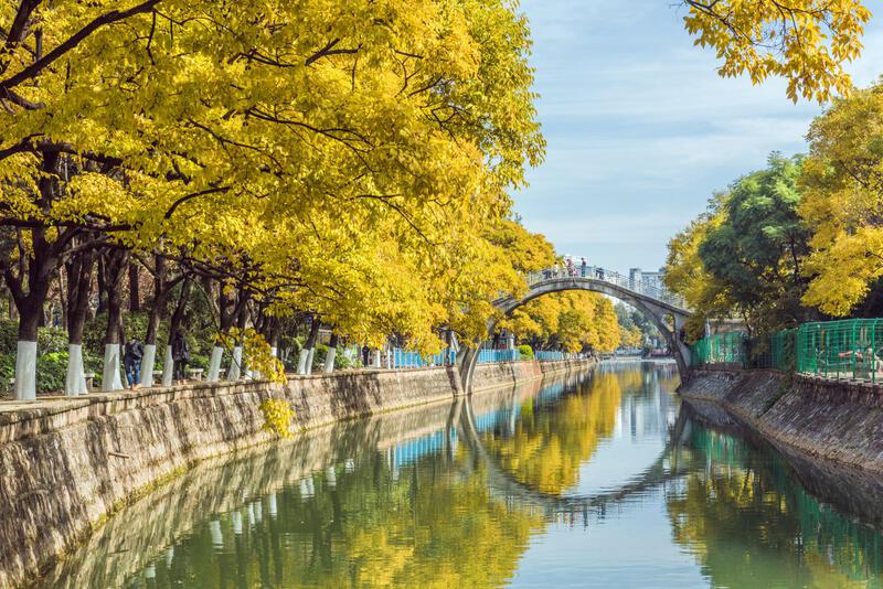 Côn Minh mùa thu lá vàng Côn Minh mùa thu lá vàng