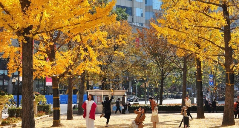 Thời tiết mùa thu Thượng Hải Thời tiết mùa thu Thượng Hải