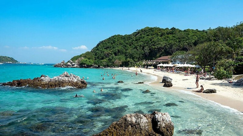 Đảo San Hô Koh Larn Đảo San Hô Koh Larn
