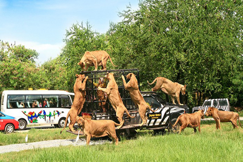 Safari World Bangkok