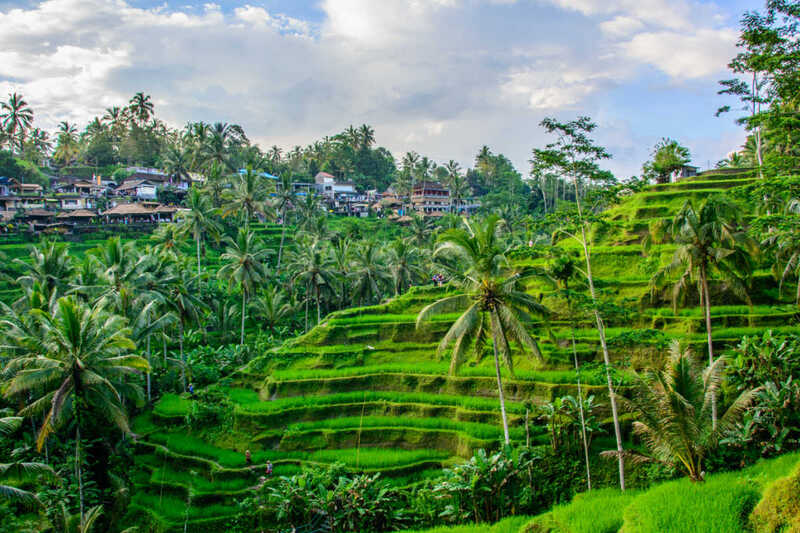 Nhiều khu nghỉ dưỡng yên tĩnh tại Ubud