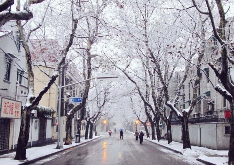 Tuyết rơi không quá dày nên bạn vẫn có thể khám phá Thượng Hải mùa đông lãng mạn Tuyết rơi không quá dày nên bạn vẫn có thể khám phá Thượng Hải mùa đông lãng mạn