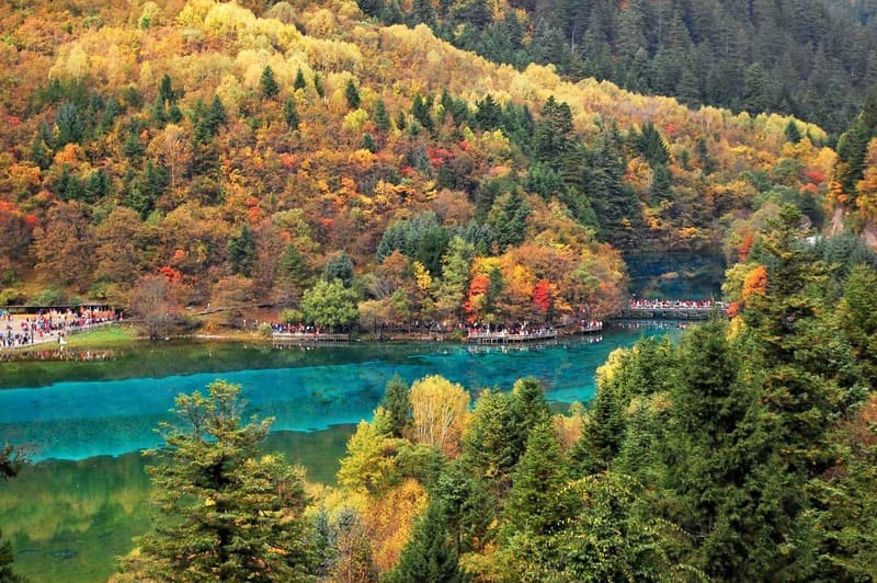 Cửu Trại Câu - viên ngọc xanh giữa lòng Tứ Xuyên Cửu Trại Câu - viên ngọc xanh giữa lòng Tứ Xuyên