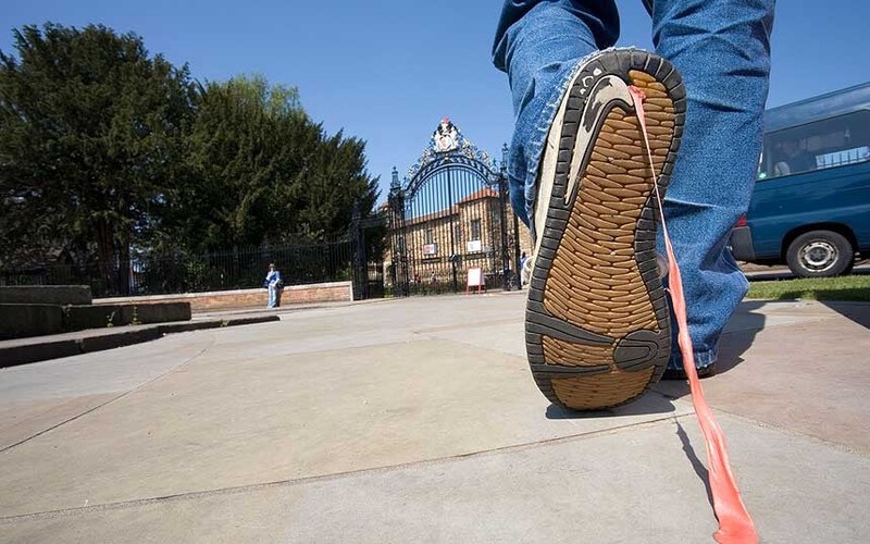 Tuyệt đối không vứt vỏ/bã kẹo cao su ra đường Tuyệt đối không vứt vỏ/bã kẹo cao su ra đường