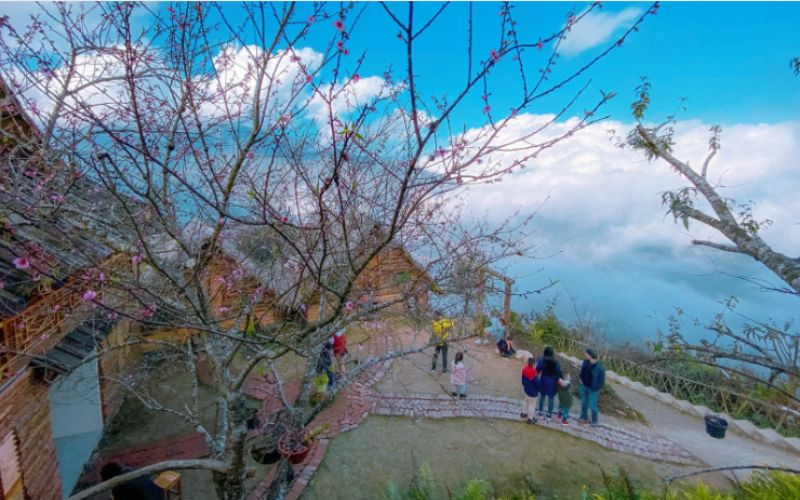 Tà Xùa – Điểm đến “hot” nhất năm nay Tà Xùa – Điểm đến “hot” nhất năm nay