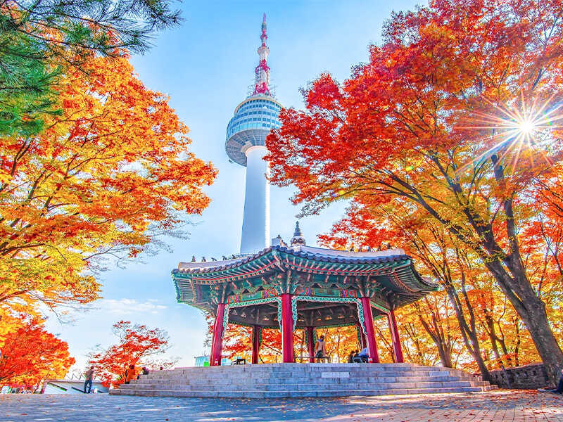 Công viên Namsan mùa thu Công viên Namsan mùa thu