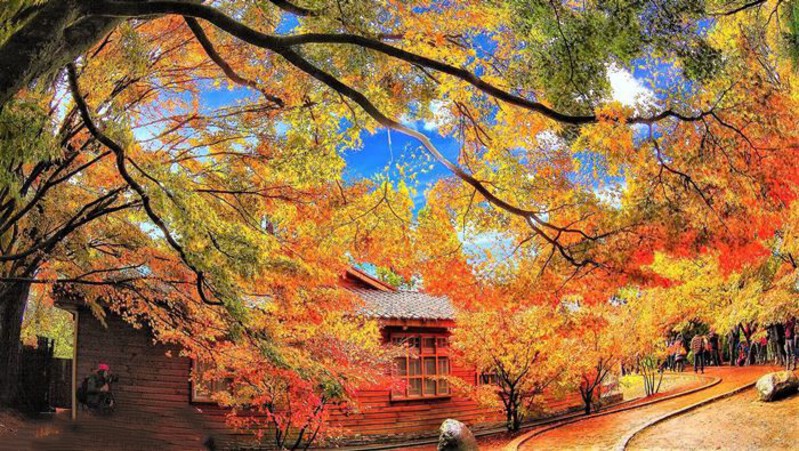 Mùa thu ở Đài Loan Mùa thu ở Đài Loan