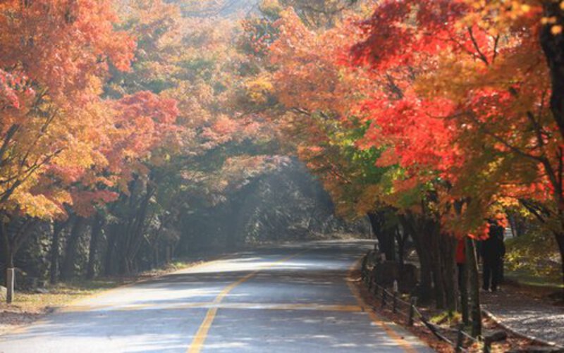 Busan mùa thu Busan mùa thu