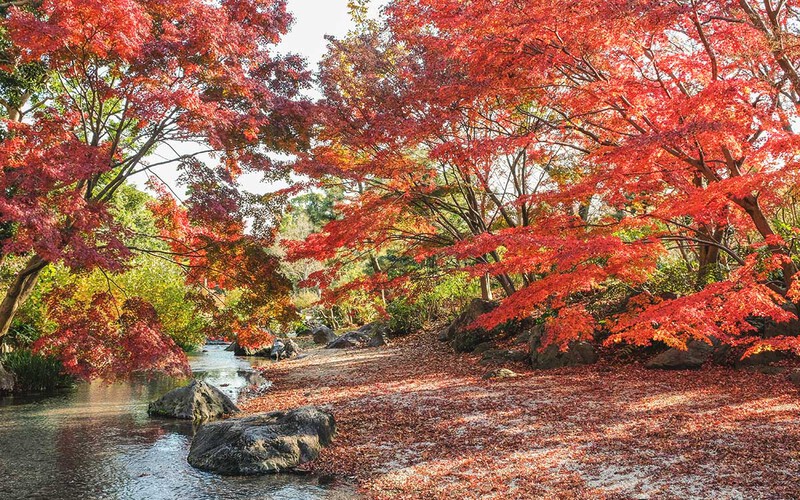 Công viên Expo ’70 Commemorative Park Công viên Expo ’70 Commemorative Park