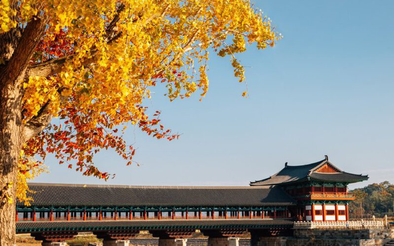 Cố đô Gyeongju mùa thu Cố đô Gyeongju mùa thu