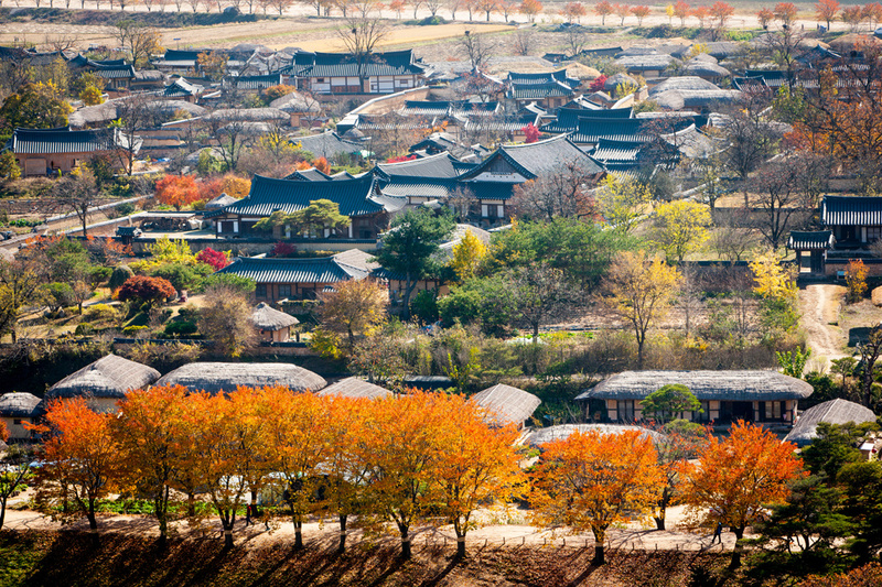 Làng Andong yên bình trong sắc thu Làng Andong yên bình trong sắc thu