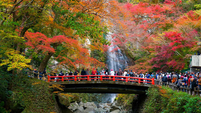 Sân bay Kansai (KIX) Sân bay Kansai (KIX)