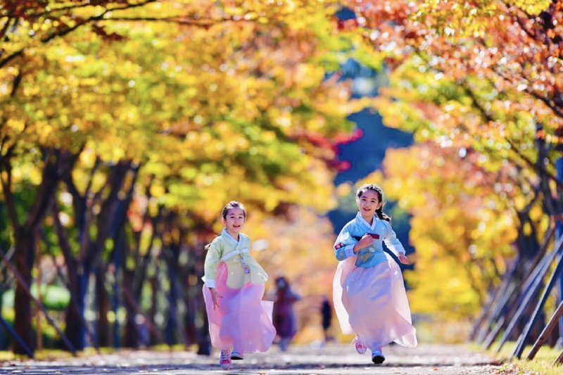 Thu Hàn Quốc lãng mạn