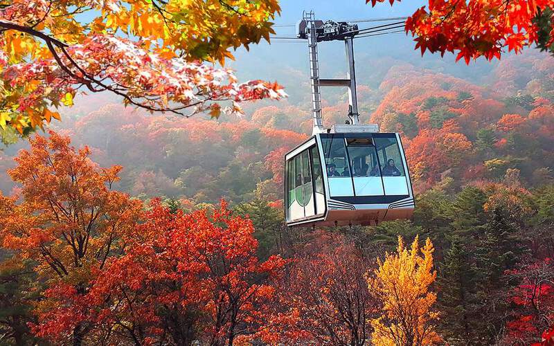 Trải nghiệm cáp treo ngắm toàn cảnh Seoraksan mùa thu Trải nghiệm cáp treo ngắm toàn cảnh Seoraksan mùa thu
