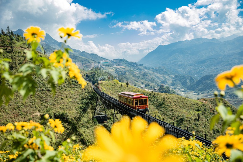 Thung lũng Mường Hoa Thung lũng Mường Hoa