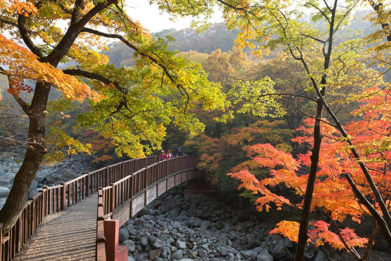 Đường lên núi Hallasan mùa thu Đường lên núi Hallasan mùa thu