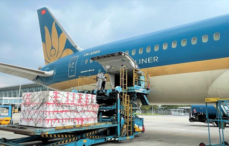 Quy định hành lý ký gửi của Vietnam Airlines mới nhất Quy định hành lý ký gửi của Vietnam Airlines mới nhất