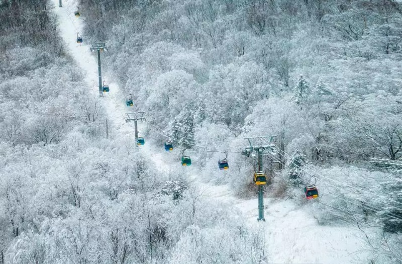 Gangwon - Thiên đường trượt tuyết Hàn Quốc Gangwon - Thiên đường trượt tuyết Hàn Quốc