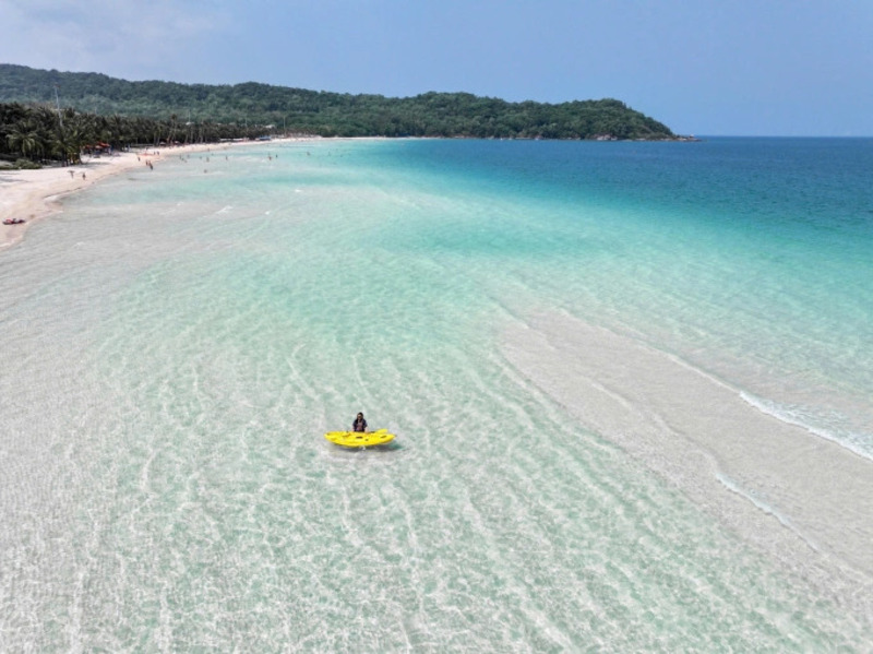 D&atilde; quỳ nhuộm v&agrave;ng ngoại &ocirc; Đ&agrave; Lạt